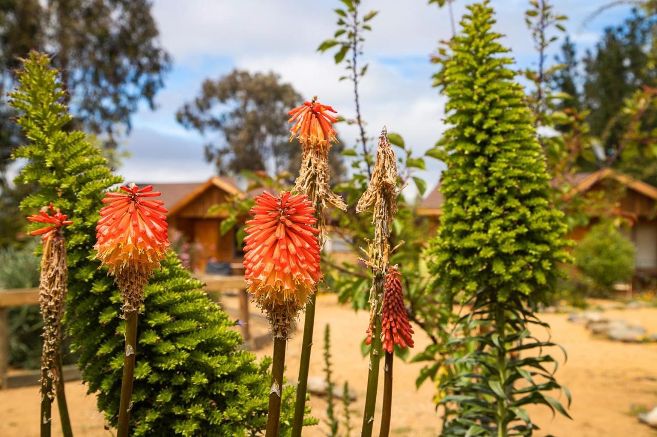 Cabana En Tunquen Con Parrilla, Fogon, Piscina Y Bosque Tunquén Exterior foto