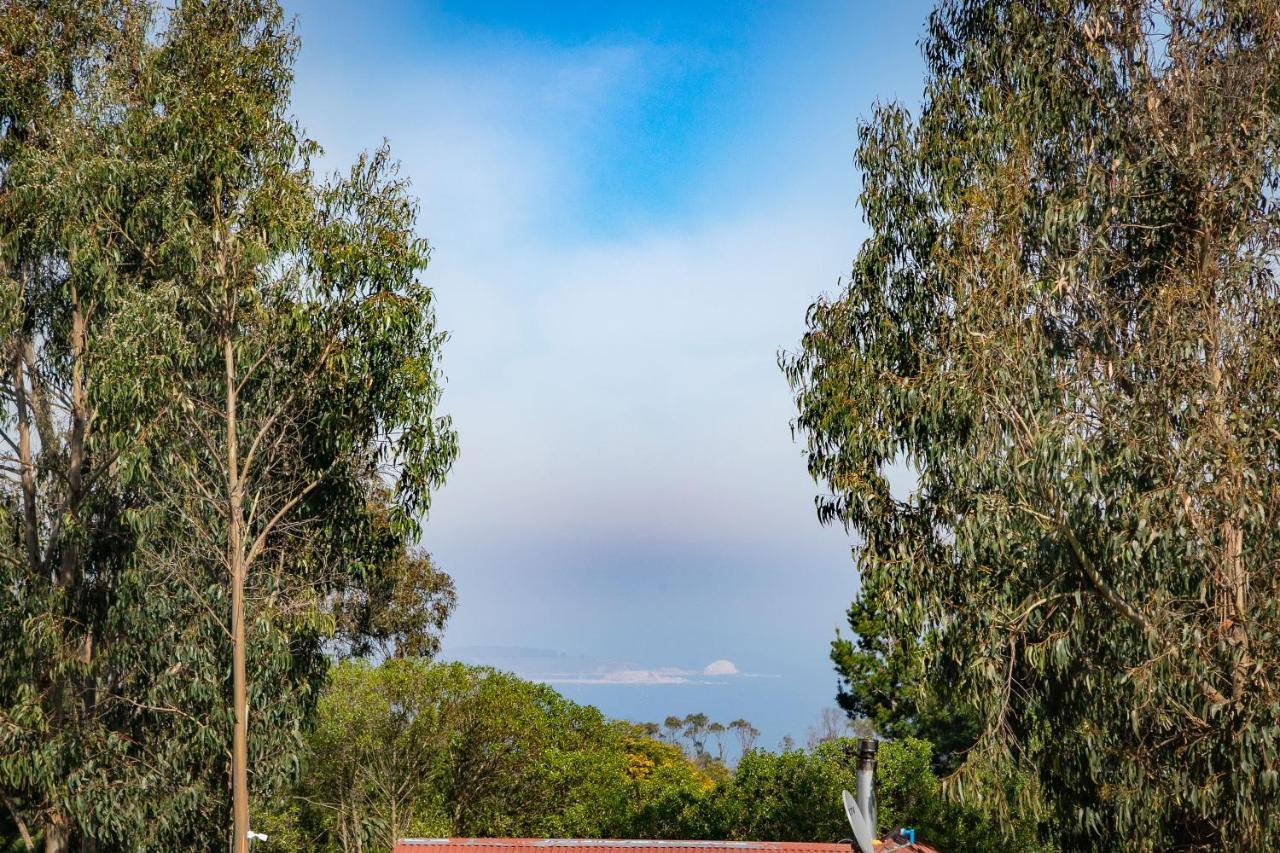 Cabana En Tunquen Con Parrilla, Fogon, Piscina Y Bosque Tunquén Exterior foto